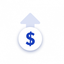 Revenue Icon